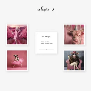 Kit 2 do CONTO DA VACA